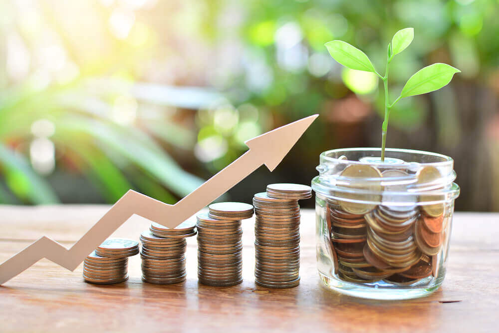 Wealth Builder
